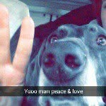 madison "maddie" sheedy - @maddie.le.dog - Instagram