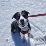 Madison Showalter - Facebook