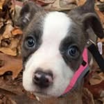 Madison Shuler - @shulermadison - Instagram