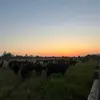 madisonsmith - @madisonsmith798 - TikTok