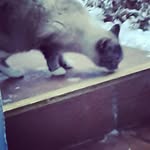madison snelling - @snelling_madison - Instagram