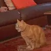 Madisonselling - @madisonselling - TikTok