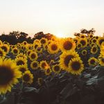 Madison Stanton - @stay.cozy_bymadison - Instagram