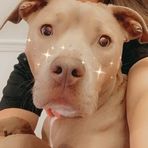 Madison Starnes - Facebook