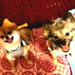 Madison Starnes - @maddylou0601 - Instagram