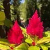 madison_sterling - @madison_sterling - TikTok