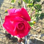 Madison Stull - @madison_scenery - Instagram