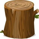 Madison Stump🪵 - @stumpofapproval - Instagram
