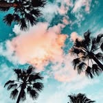 Madison Tipton - @tipton723 - Instagram