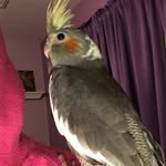 Madison Tipton - @wildgamer340 - Instagram