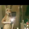 Madison Vasquez - @madison.vasquez44 - TikTok