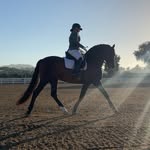 Madison Wagner - @wagnerdressage - Instagram
