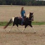 Madison Waller - @horsecrazygirl2001 - Instagram