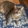Madison Walters - @madison.walters - TikTok