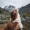 madisonwestbrook3 - @mw1262019 - TikTok