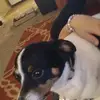 Maddie - @madisonwhitaker1 - TikTok