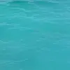 Madison Whitfield - @madison.whitfield0 - TikTok