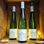 Maison F.E. Trimbach - Winery - @trimbach - Instagram