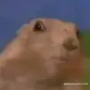MadelineJoyner - @pallasathena394 - TikTok