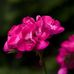 Madilyn Fuller - Facebook