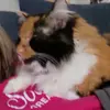 madonnabrindle - @madonnabrindle - TikTok