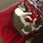Madonna Brown - @madonnapebbles.wileybrown - Instagram