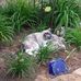 Madonna Clark Evans - Facebook