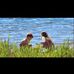 Mads Ove Johnsen - Facebook
