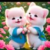 Gamage Madusha - @gamage.madusha - TikTok