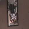 mady carter. - @mady.carter.420 - TikTok