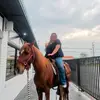Madison Mitchell - @madisonmitchell.13 - TikTok