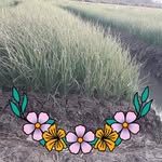 Unang Okto - @madysonmorris58 - Instagram