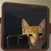 Mae Ackerman - Facebook