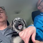 Richard Ackerman - @ackermanmurphymae - Instagram