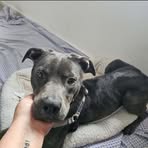 Hammie Mae Alcorn - Facebook