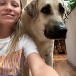 Mae Alcorn - @maealcorn_ - Instagram