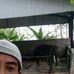 Mae Arfan Alfariski - Facebook