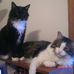 May Atkinson - Facebook