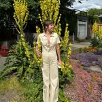 Mae Aur - @mae_aur - Instagram