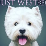 Ellie mae Austin - @lola_and_max1 - Instagram