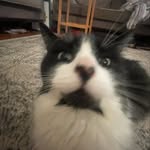 mae - @maeaustin13 - Instagram