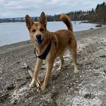 Bailey Mae Bacon - @baileymaebacon - Instagram