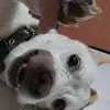 Crystal Mae Bacon - @crystal.mae.bacon - TikTok