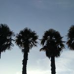 mae bacon - @maebaconphotography - Instagram