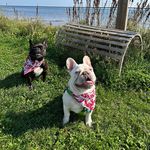Mae & Rufio - @maebae_ruboo - Instagram