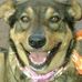 Carolyn Arkison, author of Sadie Mae Baird book series - Facebook