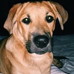 Sable🐾♥️ - @sable.mae.ballard - Instagram