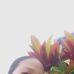 Mae Oyanib Baron - Facebook
