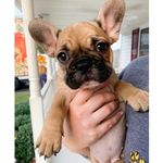 Daisy Mae Barrett 🌼 - @_daily.dose.of.daisy_ - Instagram