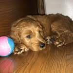 Mae Barry - @watchmemaemae1738 - Instagram